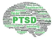 PTSD brain image