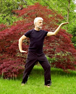 Tai Chi Qi Gong being practiced outside in front of japanese maple tree. 